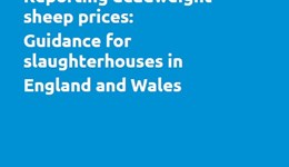 Guidance for slaughterhouses in England and Wales on reporting deadweight sheep prices
